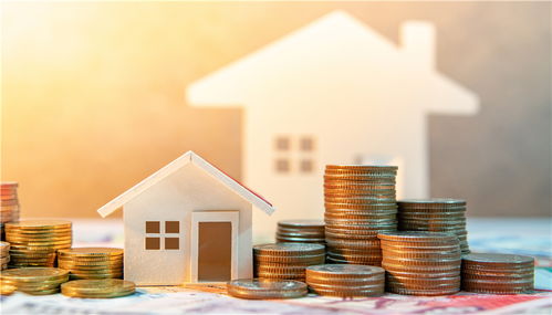 代糖龍頭金禾實業(yè)初裁過關美國337調查,境外業(yè)務占比近三成