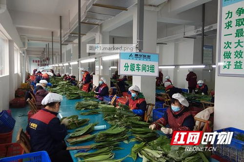 康華實(shí)業(yè) 扶貧工廠 復(fù)工忙 暖心工程 有力量