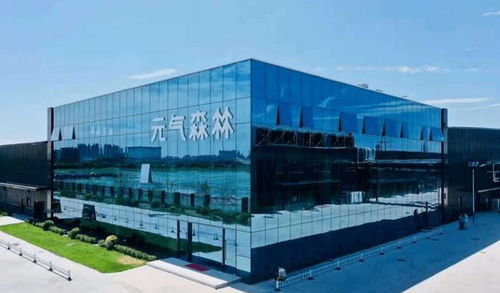 被圍剿的元?dú)馍?會 曇花一現(xiàn) 嗎