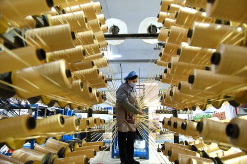 拼 中國民營企業(yè)奮力開創(chuàng)高質(zhì)量發(fā)展新局面